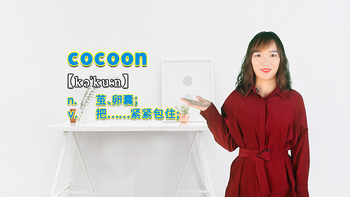 cocoon的讲解