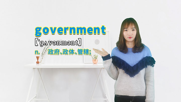 government的讲解