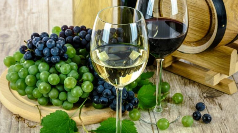 葡萄与葡萄酒工程专业介绍